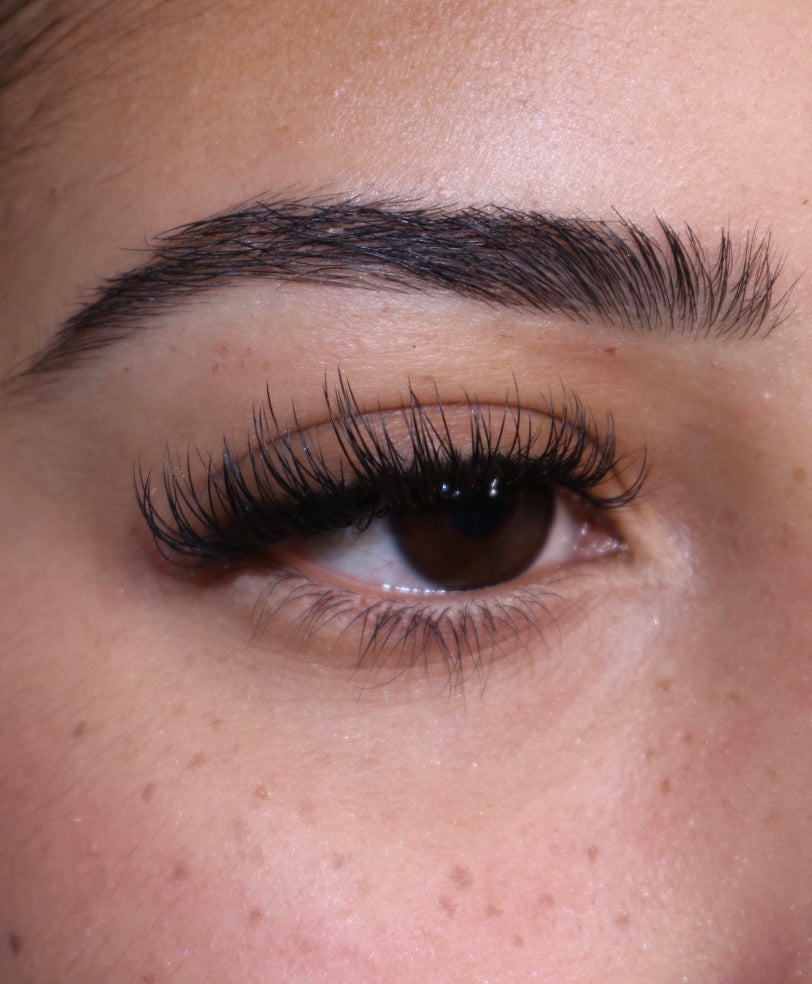 2-Day COURSE Classic Eyelash Extensions